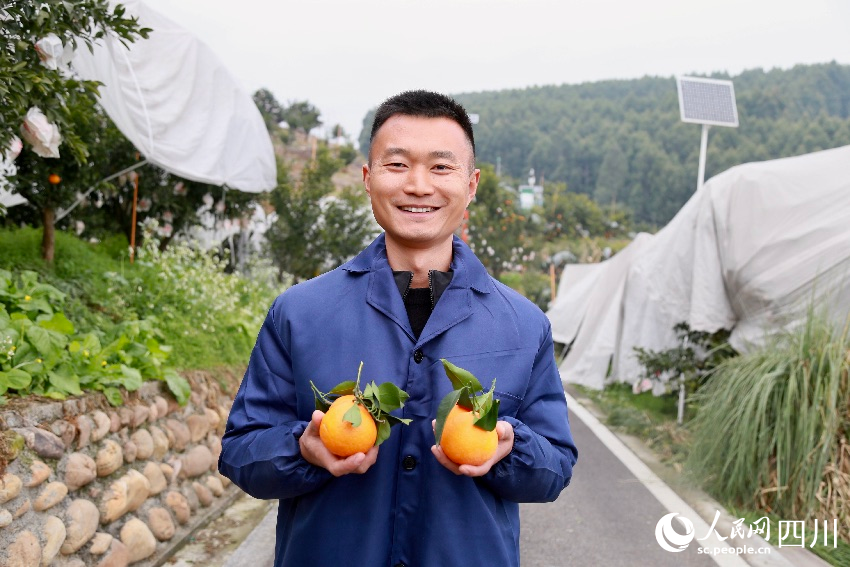 丹棱縣齊樂鎮紅石村的種植大戶郭海。人民網記者 朱虹攝