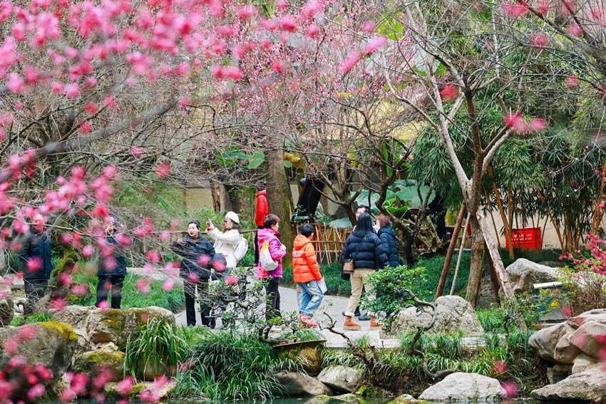 草堂到處是美景，游客隨地都開心。杜甫草堂供圖