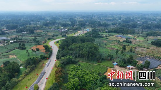 成都市蒲江縣。(唐啟浩 攝)